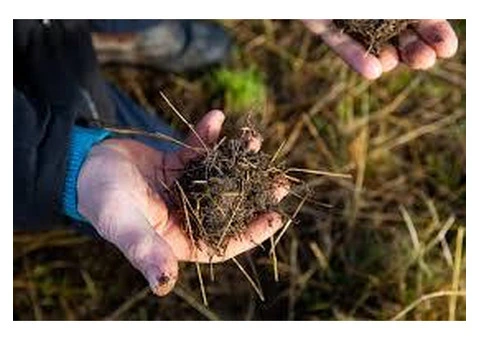 Why Soil Fertiliser Matters for Healthy Garden Growth