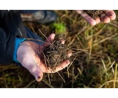 Why Soil Fertiliser Matters for Healthy Garden Growth