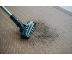 Refresh Your Carpets with Steam Cleaning Experts