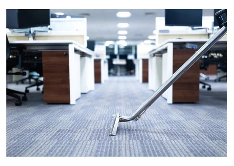 Remove Allergens & Odours with Steam Cleaning