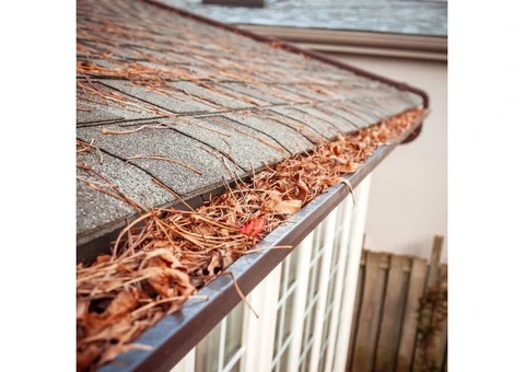 Trusted Gutter Cleaners Blaxland for Reliable Roof Gutter Cleaning