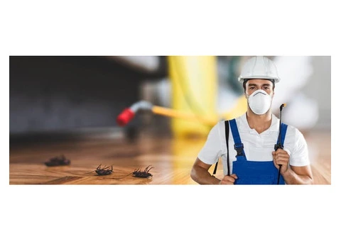 Find Lasting Relief with Pest Control in Cranbourne