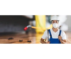 Find Lasting Relief with Pest Control in Cranbourne