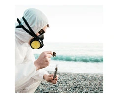 Safe & Effective Cockroach Control in Northern Beaches