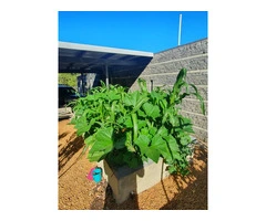 Organic Fertiliser for Home Gardens in Australia – Grow Naturally