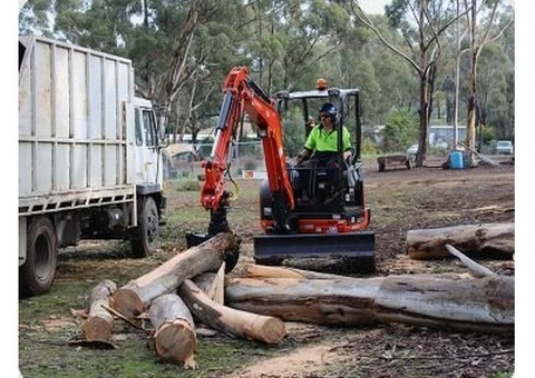 Post-Storm Tree Inspection Services