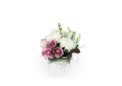 Outside Wholesale Flowers – Trusted Florist in Launceston - 2/3