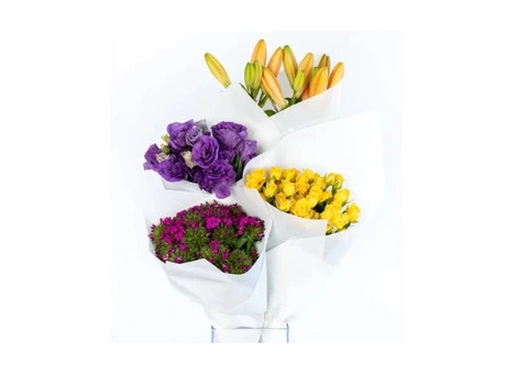 Outside Wholesale Flowers – Trusted Florist in Launceston - 3/3