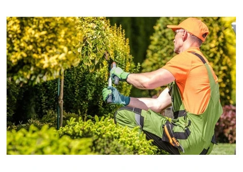 Gardening Services Canberra | Expert Garden Maintenance Canberra