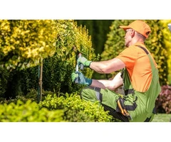 Gardening Services Canberra | Expert Garden Maintenance Canberra