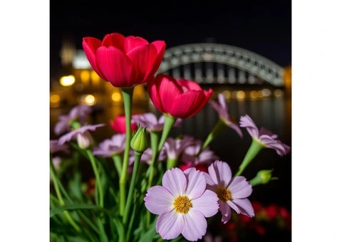 Pocket-sized posies for any Sydney doorstep. Buy now!