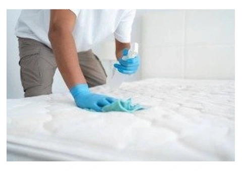 Premium Carpet And Mattress Cleaning You Can Trust - 4/4