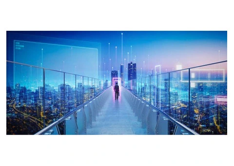 Professional Business Technology Management Brisbane | Elevate
