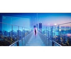 Professional Business Technology Management Brisbane | Elevate