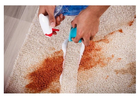 Affordable Deep Carpet Cleaning With Same Day Booking Available - 3/4