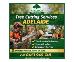 Safe & Efficient tree cutting services adelaide for Homes & Businesses