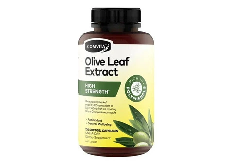 Buy Olive Leaf Extract for Everyday Wellness