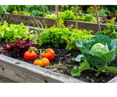 Natural Soil Care with Complete Organic Fertiliser