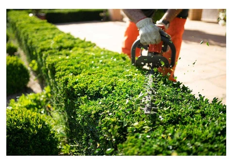 Arborist in Melbourne - 3/6