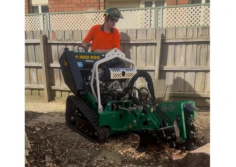 Arborist in Melbourne - 4/6