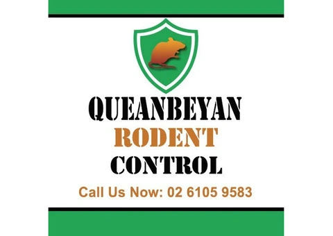 Queanbeyan Rodent Control