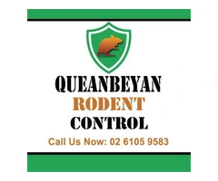 Queanbeyan Rodent Control