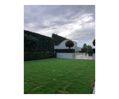 Gardening  Landscaping Services in Melbourne