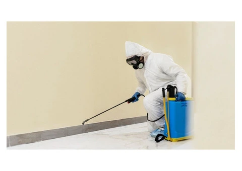 Spider Treatment Gold Coast – Reliable Property Care Services