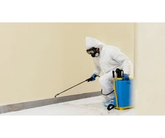 Spider Treatment Gold Coast – Reliable Property Care Services