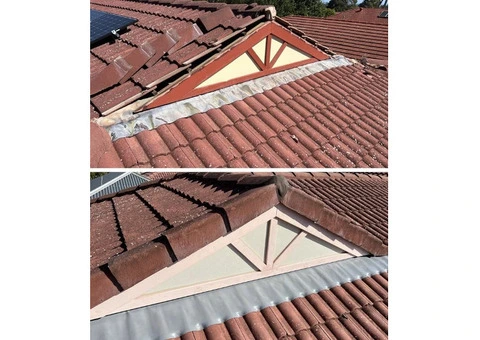 Transform Your Home with the Best Roof Restoration Adelaide - 2/2