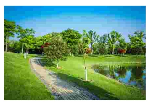 Affordable Landscaping Mosman Park by Trusted Experts