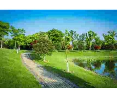 Affordable Landscaping Mosman Park by Trusted Experts