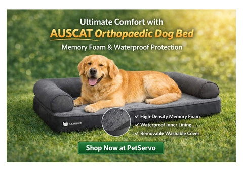 AUSCAT Orthopedic Dog Bed, Memory Foam, with Waterproof Lining at Pet servo.