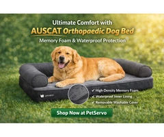 AUSCAT Orthopedic Dog Bed, Memory Foam, with Waterproof Lining at Pet servo.