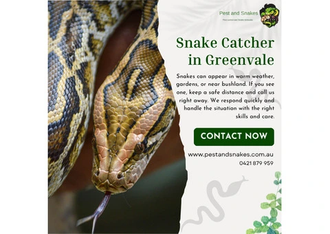 Snake Catcher in Greenvale
