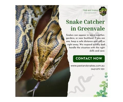 Snake Catcher in Greenvale