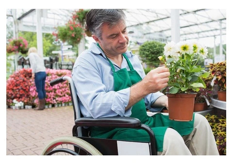 Reliable & Affordable NDIS Gardening in Brisbane by Clean N Green Australia