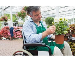 Reliable & Affordable NDIS Gardening in Brisbane by Clean N Green Australia