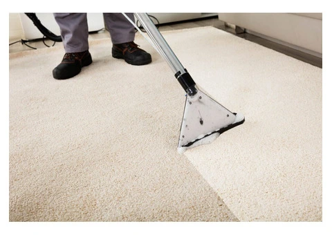 Professional Carpet Cleaning Services in Camberwell You Can Trust