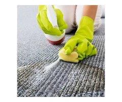 Professional Carpet Cleaning Services in Templestowe You Can Trust