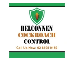 Belconnen Cockroach Control