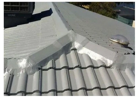 Roof painters Adelaide