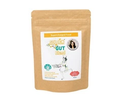 Boost Digestive Wellness with Golden Gut Blend Powder