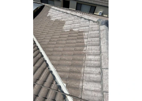 Roof Painting Sydney - 2/5