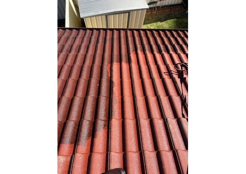 Roof Painting Sydney - 3/5