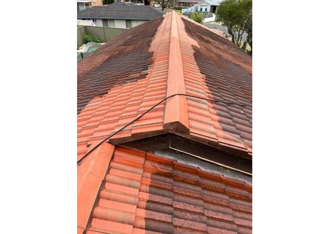 Roof Painting Sydney - 5/5