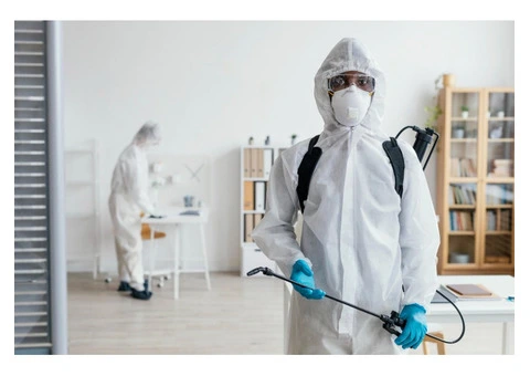Mosquito Treatment Gold Coast – Effective Outdoor Protection Services