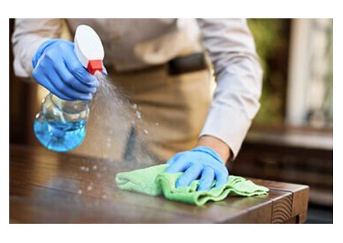 Trusted Cleaning Company in Mornington for Best Results - 3/4