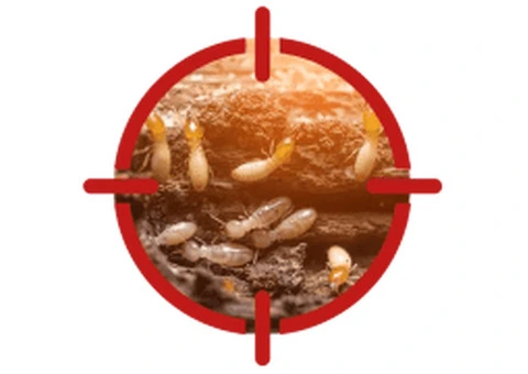 Termite Inspections & Control Treatment Near You