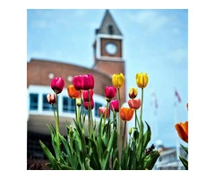 Christchurch – The Flower City of New Zealand